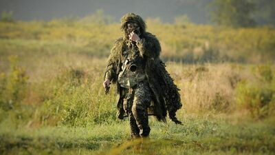 Fotografuje dziką przyrodę. "W lesie trzeba być, gdy jest jeszcze ciemno"
