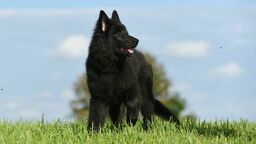 Zdjęcie ilustracyjne