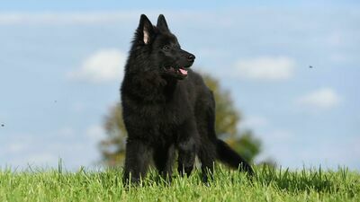 Zdjęcie ilustracyjne