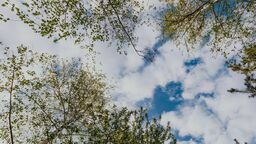 Zdjęcie ilustracyjne