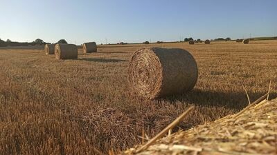 Miliony dla dawnych PGR-ów w puławskich gminach