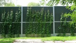 Skarżący uważają, że ekran akustyczny, który powstał przy ul. K. Krahelskiej, zacienia ich działki, a nawet ogranicza cyrkulację powietrza. Decyzja o utrzymaniu w mocy pozwolenia na jego budowę została uchylona