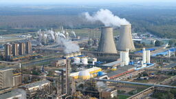 Zakłady Azotowe "Puławy"