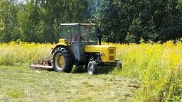 Miasto poleciło wykosić dziką łąkę, w której dominowała nawłoć