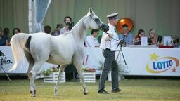 Miał być sukces Pride of Poland, a jest niezapłacona faktura na milion euro 