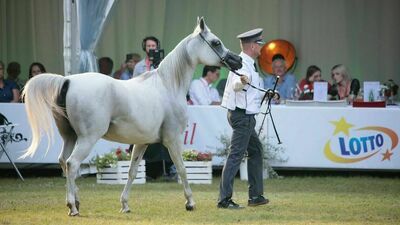 Miał być sukces Pride of Poland, a jest niezapłacona faktura na milion euro 