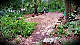 Podwórkowe gry i sprzątanie lasu za skateparkiem