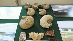 Polarne muzeum w Puławach nadal „w organizacji”