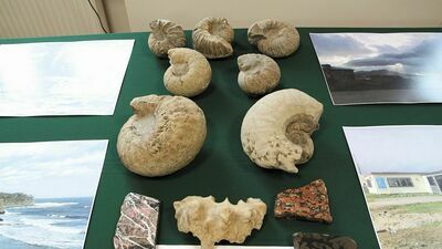 Polarne muzeum w Puławach nadal „w organizacji”