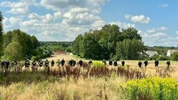 Matka i córka znalezione martwe w domu. "Liczne rany kłute". Szukają sprawcy