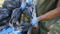 Co zabija małże w Zalewie Zemborzyckim? "Co wybierzemy, to woda wyrzuca na brzeg kolejne"