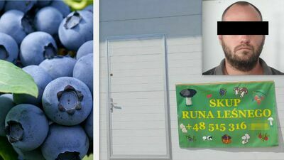 Łotysz skupował borówkę amerykańską, ale nie płacił sprzedawcom. "Zarobił" tak ok. 110 tys. zł