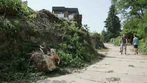 Okoliczni mieszkańcy są oburzeni ogołoceniem z zieleni odcinka ich ulicy