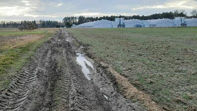 W tej chwili w Uchańce są cztery kurniki. StoFarm stara się o zgodę na budowę trzynastu kolejnych