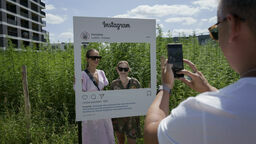 Przy ogrodzeniu spółka Hemplab, z uwagi na duże zainteresowanie konopnym polem i powtarzającymi się próbami sforsowania siatki, ustawiła ramkę do robienia zdjęć