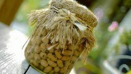 Kiszony dereń według staropolskiej receptury smakuje jak najlepsze oliwki 