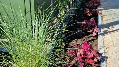 Zielone przystanki w Białej Podlaskiej