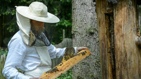 Zajęcia z cyklu "Sztuka wrażliwości" we wrześniu