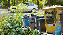 Przegląd tygodnia. Szybcy jak błyskawica, po owocach ich poznacie