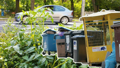 Przegląd tygodnia. Szybcy jak błyskawica, po owocach ich poznacie