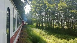 Kolej wąskotorowa hitem tego lata. Ma być nowa atrakcja