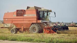 Ryzykuje rolnik, zarabia duża sieć