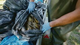 Do Puław na badania mogą trafić też martwe małże z Zalewu Zemborzyckiego