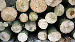 3,9 tys. zł na gaz, 1 tys. zł na drewno. Minister podała stawki dopłat