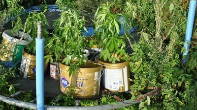 Odlotowa trampolina nastolatki z gminy Wilków