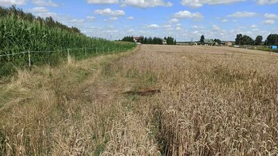 Miejsce, w którym znaleziono ciało mężczyzny