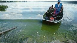 Najwięcej martwych małży wyławianych jest na południowym brzegu Zalewu Zemborzyckiego. W akcji pomagają strażacy i terytorialni