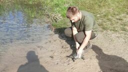 Nietypowy gość na podwórku okazał się być żółwiem zagrożonym wyginięciem