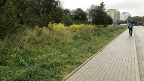 Działkę przy ul. Wyszyńskiego dzielą TBS i  PR-BUD Development. Teoretycznie można byłoby tam stawiać bloki, ale niższe niż te, które są planowane. Dlatego zielone światło inwestycjom w ramach ustawy lex deweloper muszą dać radni.