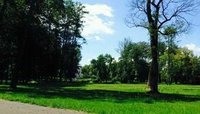 Mieszkańcy Opola Lubelskiego nie chcą spopielarni zwłok zwierząt koło lubianego parku 