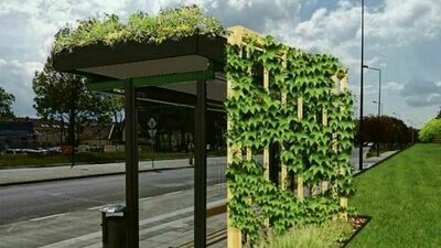 Taka wiata ma kosztować niemal 72 tys. zł