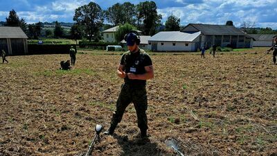 Kilkadziesiąt osób z wykrywaczami metalu przeczesywało pola w powiecie krasnostawskim