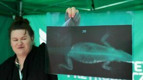 Lubelski Festiwal Nauki zaczął się piknikiem. Deszcz nie przeszkodził. Zdjęcia