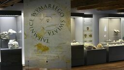 Mapping wąwozu i ząb mozazaura. Nowości w Muzeum Nadwiślańskim w Kazimierzu Dolnym