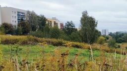 Eksperci mówią jednoznacznie: to cenna przyrodniczo dolina, ważna dla klimatu tej części miasta