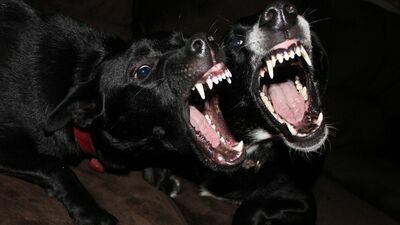 Zdjęcie ilustracyjne