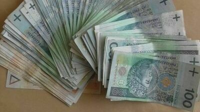 Gmina Niemce i podwyżka dla radnych. Jak to tłumaczą?