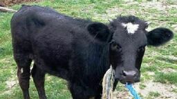 Zdjęcie ilustracyjne