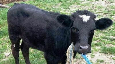 Zdjęcie ilustracyjne