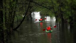 Zdjęcie ilustracyjne