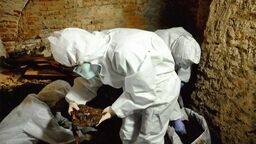 10 lat badań i w końcu koniec. Co skrywały podziemia pod bazyliką?