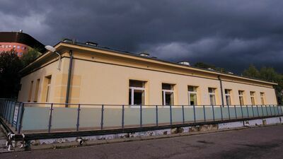 – To nie jest taka prosta sprawa – tłumaczył nam zastępca dyrektora szpitala, gdzie w jednym z oddziałów marzli mali pacjenci i ich rodzice