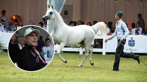 Thierry Barbier licytował hojnie, przebijając nawet samego siebie. Na Egirę, Poganinkę, Euzonę i Esmeraldię zdecydował się wydać 955 tys. euro