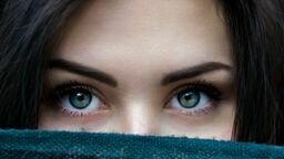 Zdjęcie ilustracyjne