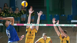 Bogdanka Volley Cup im. Tomasza Wójtowicza już w weekend