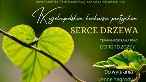Serce drzewa w roli głównej. Poetycki konkurs w Roztoczańskim Parku Narodowym